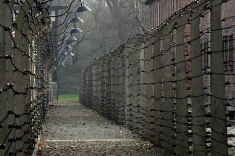 Visninger av Auschwitz-Birkenau-museet