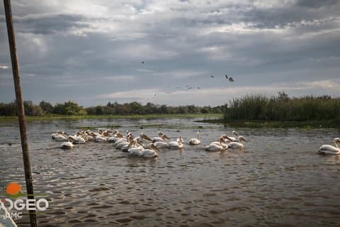 最も充実したプライベートツアー - セネガルの真珠