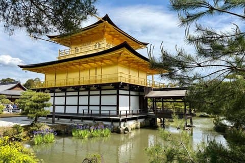 東京から1日で行ける京都・大阪｜重要な見どころをすべて見る