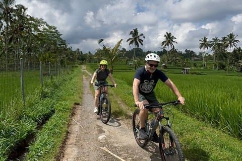 Private Ubud Downhill Cycling : Vulkan, Reisfelder und Mahlzeit