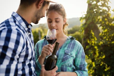 Etna guidet vingårdstur med vinsmaking