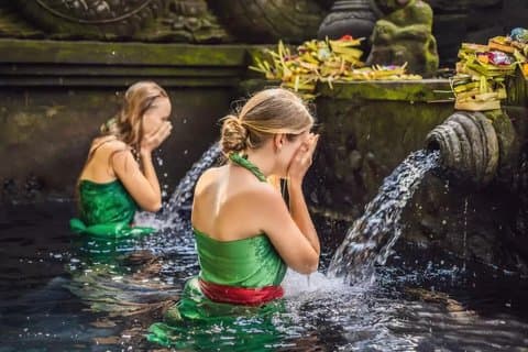 Tour privato di un giorno di Ubud: foresta delle scimmie, terrazza di riso e sorgente santa