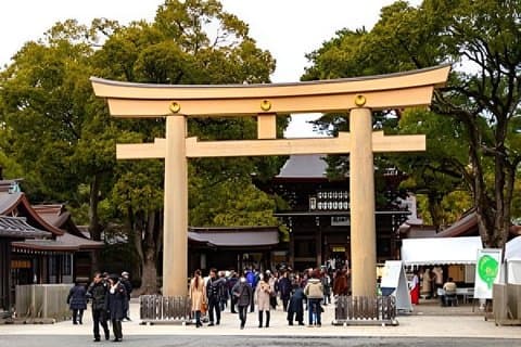 Tour privado en furgoneta por Tokio con comida cultural y Halal