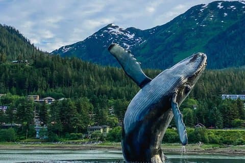 Customized Private Juneau Sightseeing SUV/Van Excursion