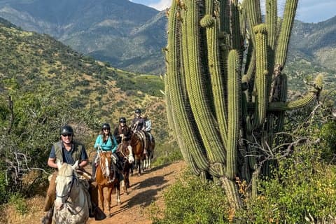Andean Horseback Ride: Scenic Trails & Wine Picnic