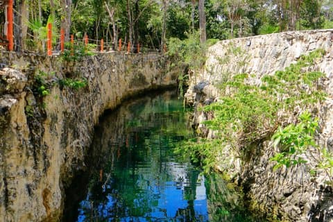 Tulum Cenote Tour 5 Cenotes and Awaken Your Senses