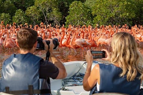 Rio Lagartos en Las Coloradas - Flamingo- en krokodillensafari Plus
