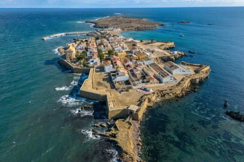 Tabarca Island Santa Pola and Surprise Stop From Els Arenals