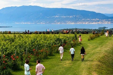 Wine tour and tasting of Valtenesi Wines in Salò