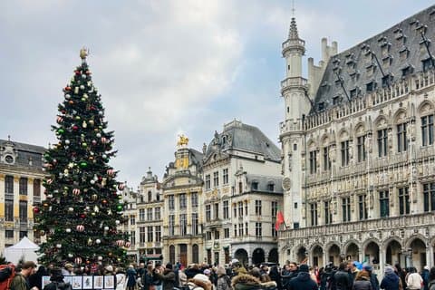 Visite guidée du centre de Bruxelles, découvrez la magie de Bruxelles.