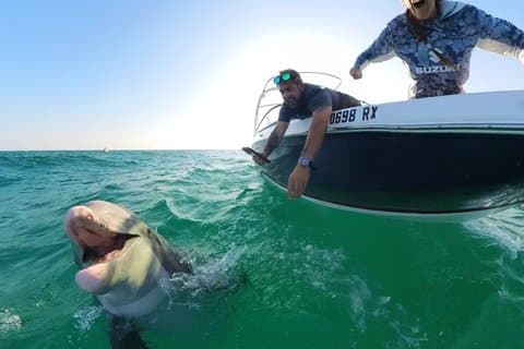 Privat delfin- och snorkeltur i Panama City Beach