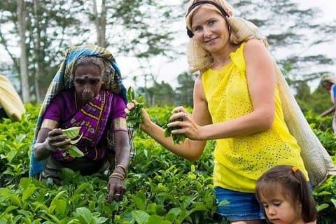 Tour di 7 giorni dello Sri Lanka con hotel e trasferimento