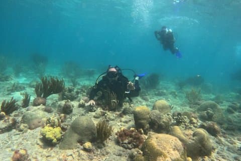 Corso di certificazione subacquea NAUI Open Water Diving, Parco Tayrona