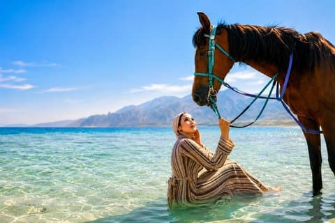 Nabq Beach ridning med fantastisk udsigt over Det Røde Hav