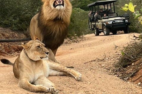 5 dias Garden Route & Addo Safari Adventure
