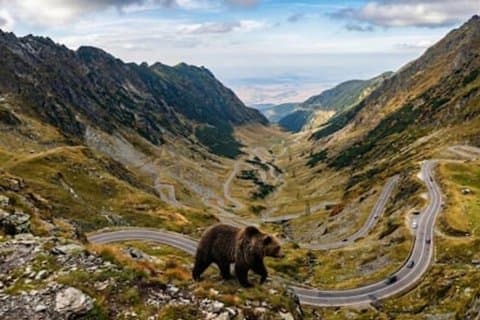 Small-group & Pickup, Top Gear Road -Transfăgărăşan