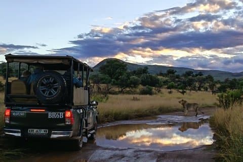 3 - Dia Exclusivo de Fuga de Luxo no Black Rhino Game Lodge