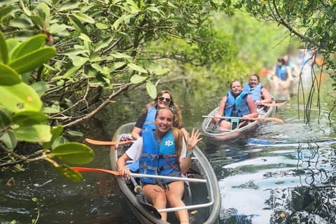 Excursão ecológica de 2 horas ao Kayak Mangrove Tunnel - Sarasota