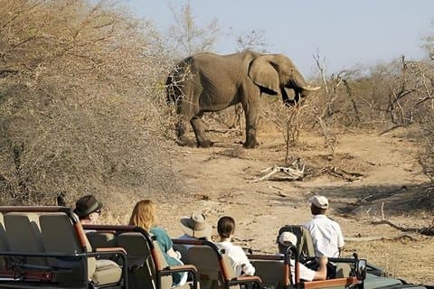 7-Day Budget Kruger, Victoria Falls & Chobe Safari