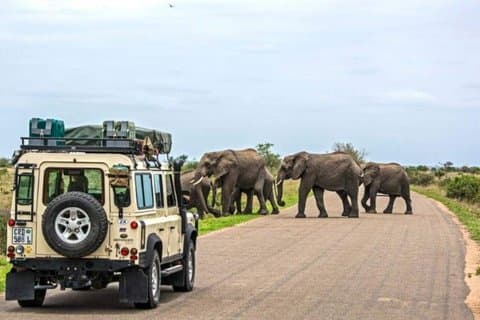 2 - Dag Budget Greater Kruger Camping Safari