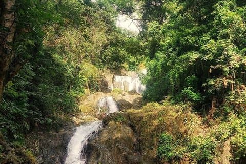Regenwald und Argyle Wasserfall Eco Tour in Tobago
