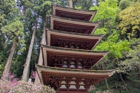 Dagstur från Osaka Muroji Temple Dragon Shrine och Art Forest