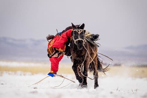 Visite de 5 jours en Mongolie de la vie nomade et du patrimoine de la culture hippique