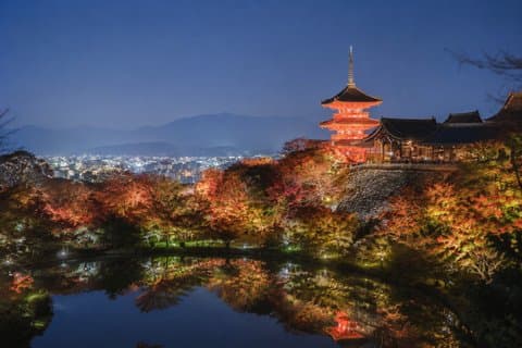 Kyoto Private Night Tour Gion Fushimi Inari Taisha and More