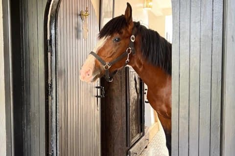 エッサウイラの家族乗馬アドベンチャー