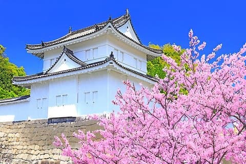 Nijo Castle Samurai Inside Story — Top-bewertete Fortgeschrittener (Max 8)