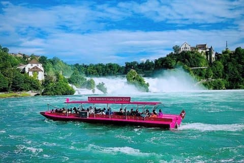 Privat dagstur till Rhine Falls från Zürich