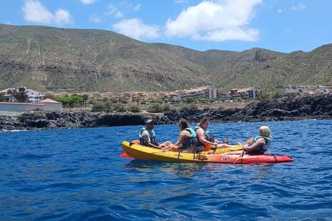 Kayak Guided Tour in Los Cristianos Bay