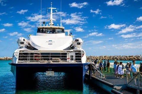 Kapstadt : Robben Island Tour Inklusive Fährtickets & Transfers