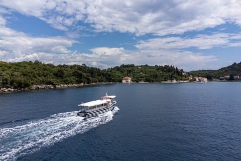 Desde las islas Dubrovnik Elaphiti y el casco antiguo Tour panorámico en barco