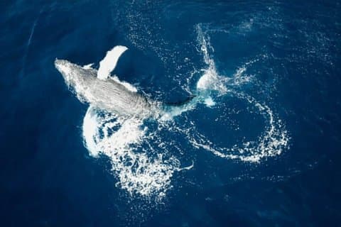 Sea & Land Full Day Tour