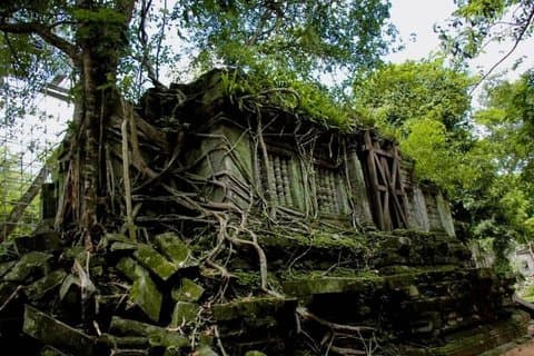 Beng Mealea Temple Adventure & Kompong Kleang Sunset Serenity