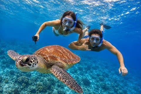 Aventura de mergulho com snorkel em águas profundas em Tenerife: explorando a vida marinha.