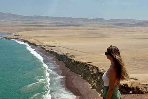 Paracas Excursion d'une journée complète Îles Ballestas et réserve nationale