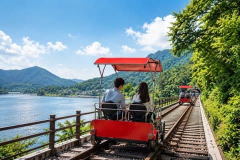 Nami Island, Railbike & Morning Calm Private Tour from Seoul