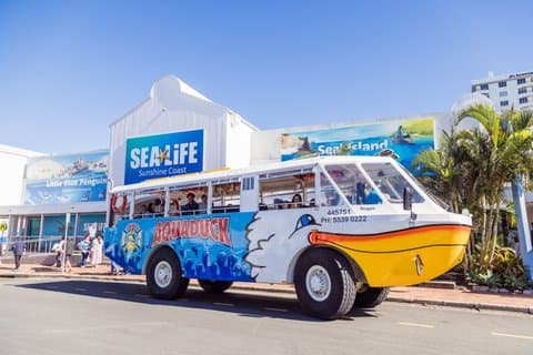 アクアダック・サンシャイン・コースト - 1時間ムーローラバ水陸両用ツアー