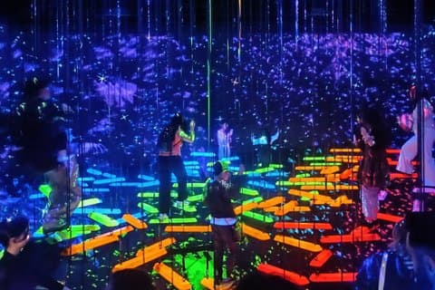 Tokyo TeamLab Planets opptak med privat hotellopphold