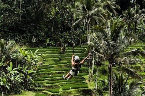 Ubud Zipline, Monkey Forest og ATV ride eventyr Gorilla ansigt