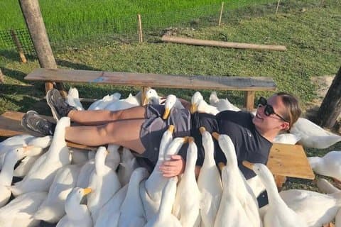 Tour en barco por la granja de patos y canasta de coco