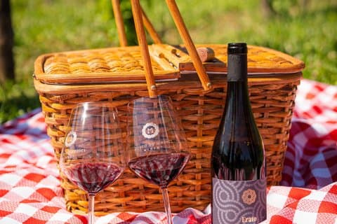 Picnic Among the Vines in Pompeii
