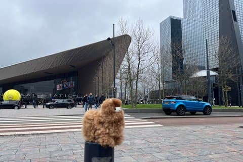Den Haag en Rotterdam Full Day Adventure vanuit Brussel