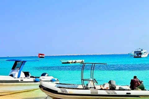 Excursão privada de Speedboat Dolphin House, snorkeling e White Island