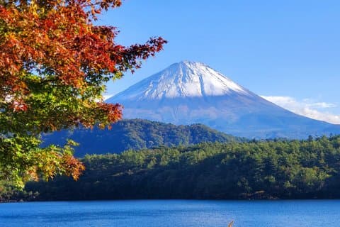 2 dagen - 1.Tokio/2.Privétour naar Fuji en Hakone vanuit Tokio