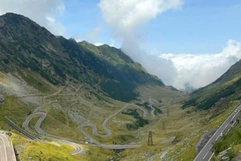 Experiência de urso selvagem em Brasov Transfagarasan Road