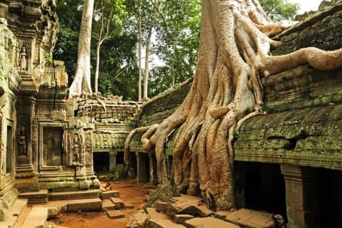 Angkor Wat German-language tour