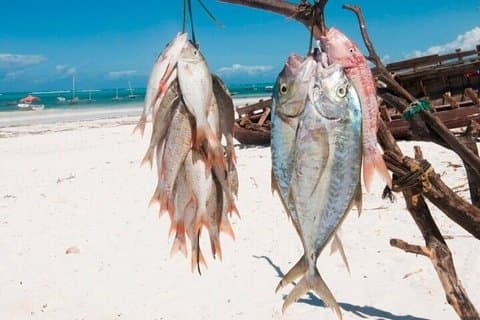 Zanzibar Havsfiske Båttur erfarenhet med Transfer